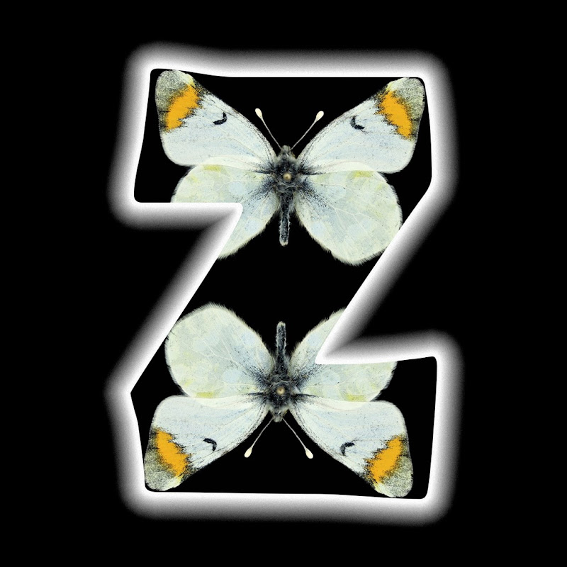 Zegris - youtube Keşfet