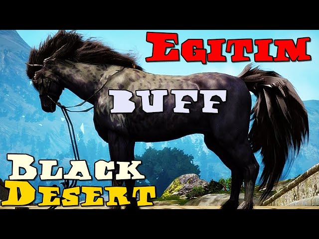 Test Youtube/Twitch Ortak Yayın Black Desert