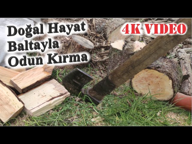 4K - Baltayla Odun Kırma - Doğal Hayat - Natural life