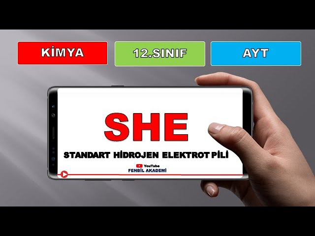 12.Sınıf Kimya/ AYT :Elektrokimyasal Piller: Standart Hidrojen Elektrot (SHE)