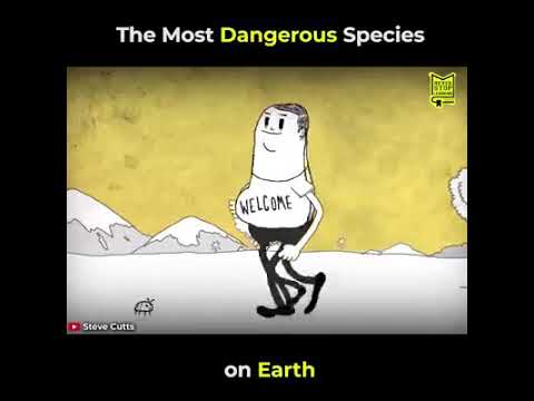 The most dangerous species